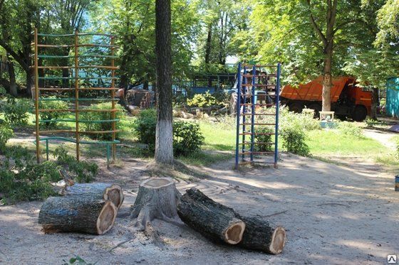 Спиливание дерева на территории детского сада