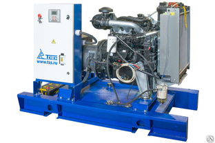 Дизельный генератор ТСС АД-24С-Т400-1РМ20 (80313AM1P, Mecc Alte) 