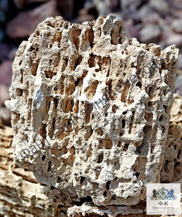 Природный камень для ландшафта Ракушечик Меотис 500+мм 
