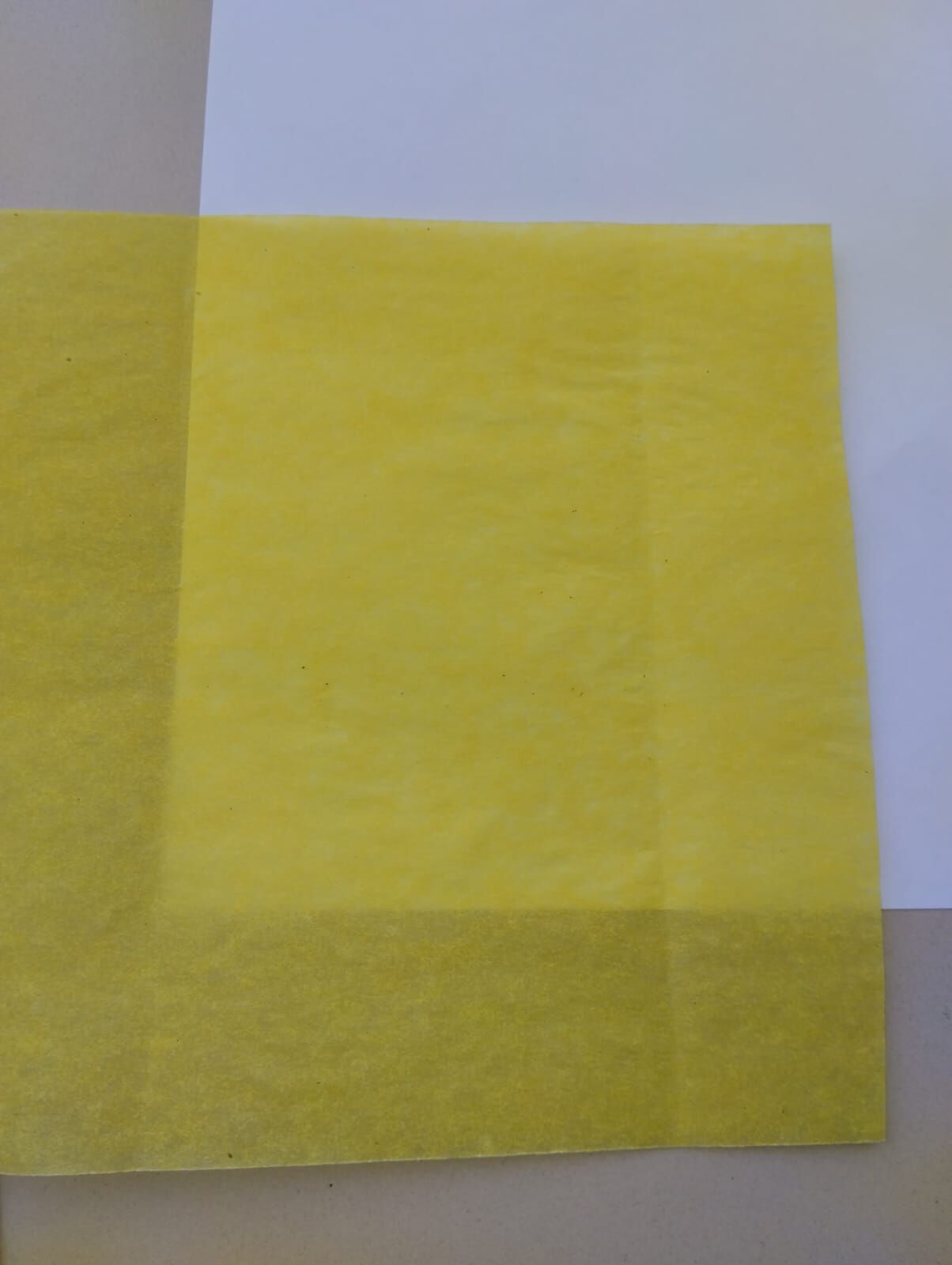 Цветной подпергамент в рулонах. Цвет - жёлтый.