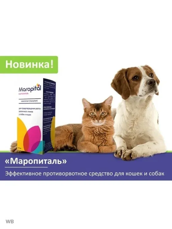 Маропиталь для кошек