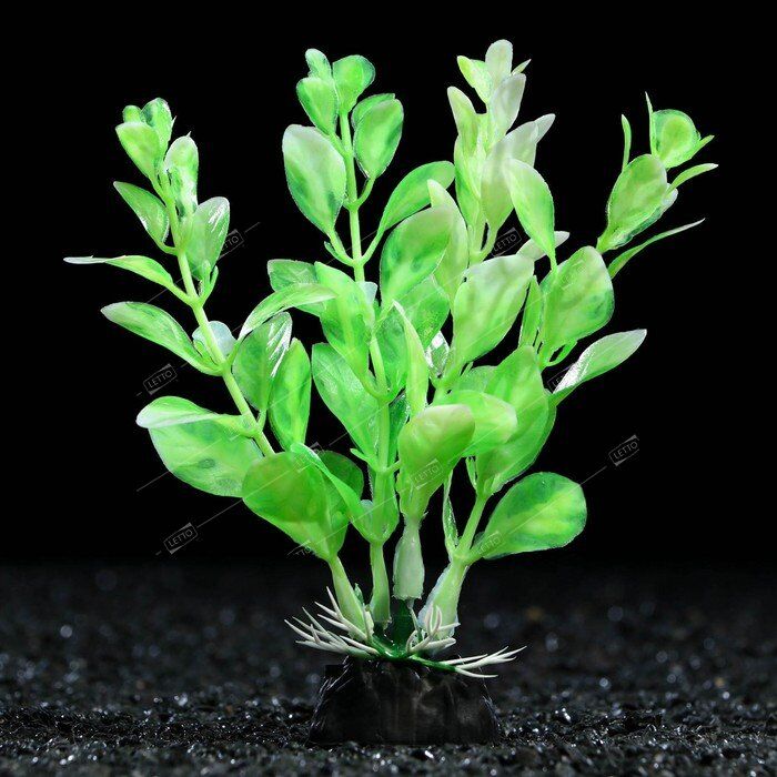 Растение искусственное аквариумное зелёно-белое 10см 1 шт (5), Пижон Аква 7523966