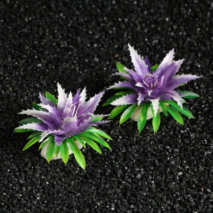 Растение искусствен. аквариумное фиолетовый 11*9*6см (2 шт), Пижон Аква 7422222