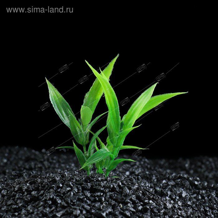 Растение искусственное аквариумное малое, 9см (5), Пижон Аква 2590684