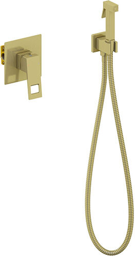 Смеситель встроенный с гигиеническим душем Timo Briana (7189/17SM) золото матовое